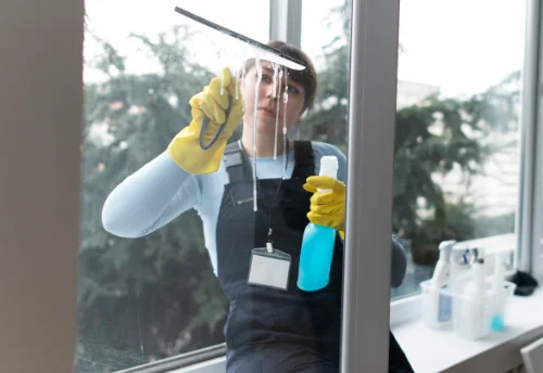 Nettoyage de vitres intérieures et extérieures à la Pellerine